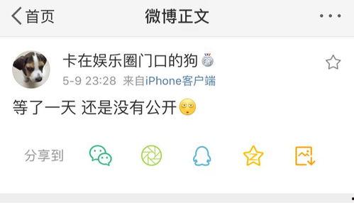 海外吃瓜爆料免费观看,免费观看独家揭秘，带你领略全球热点风云